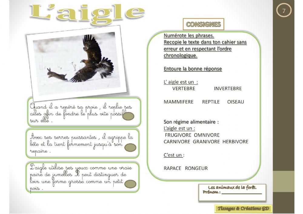 Lecture - L'aigle