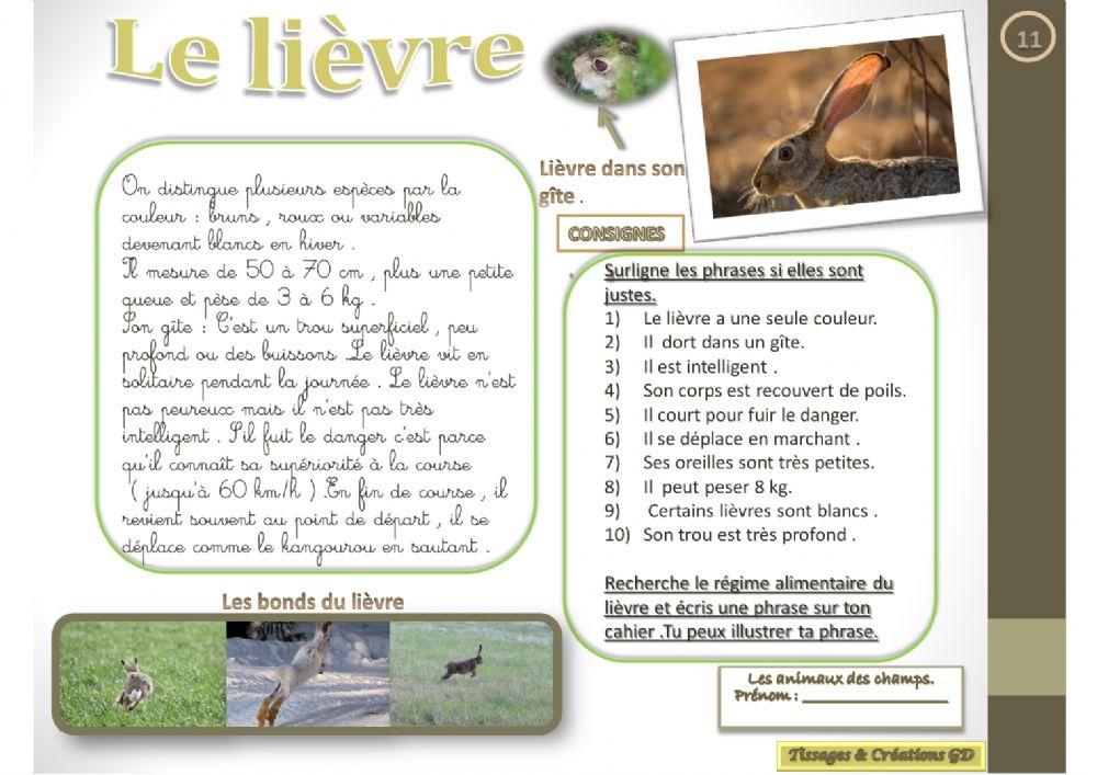 Lecture - Le lièvre Lecture - Le lièvre