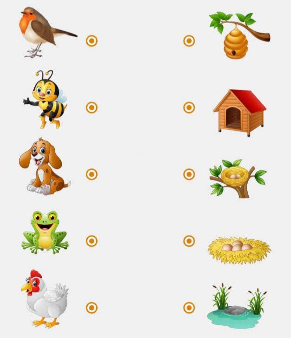 Кој каде живее