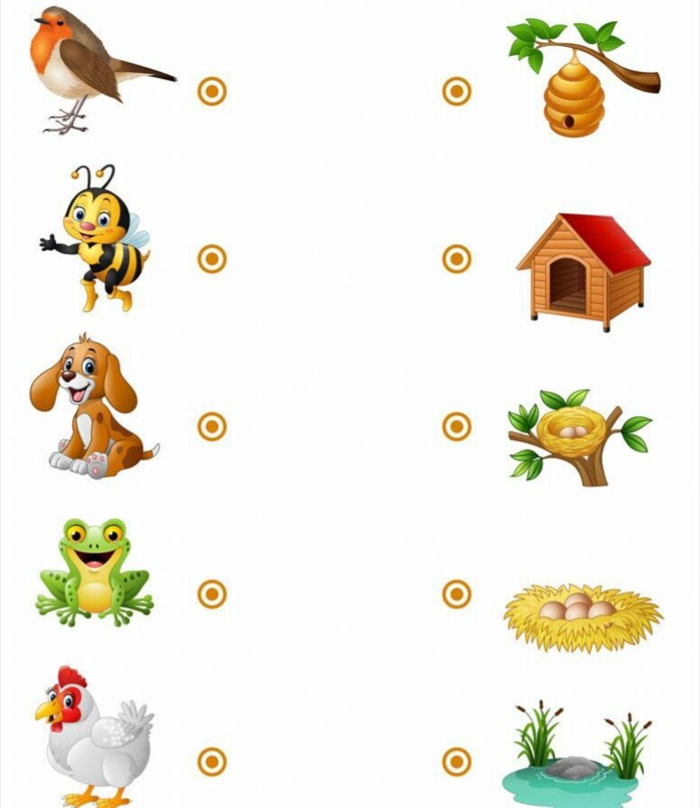 Νηπιαγωγειο διαδραστικες δραστηριοτητες ζωα