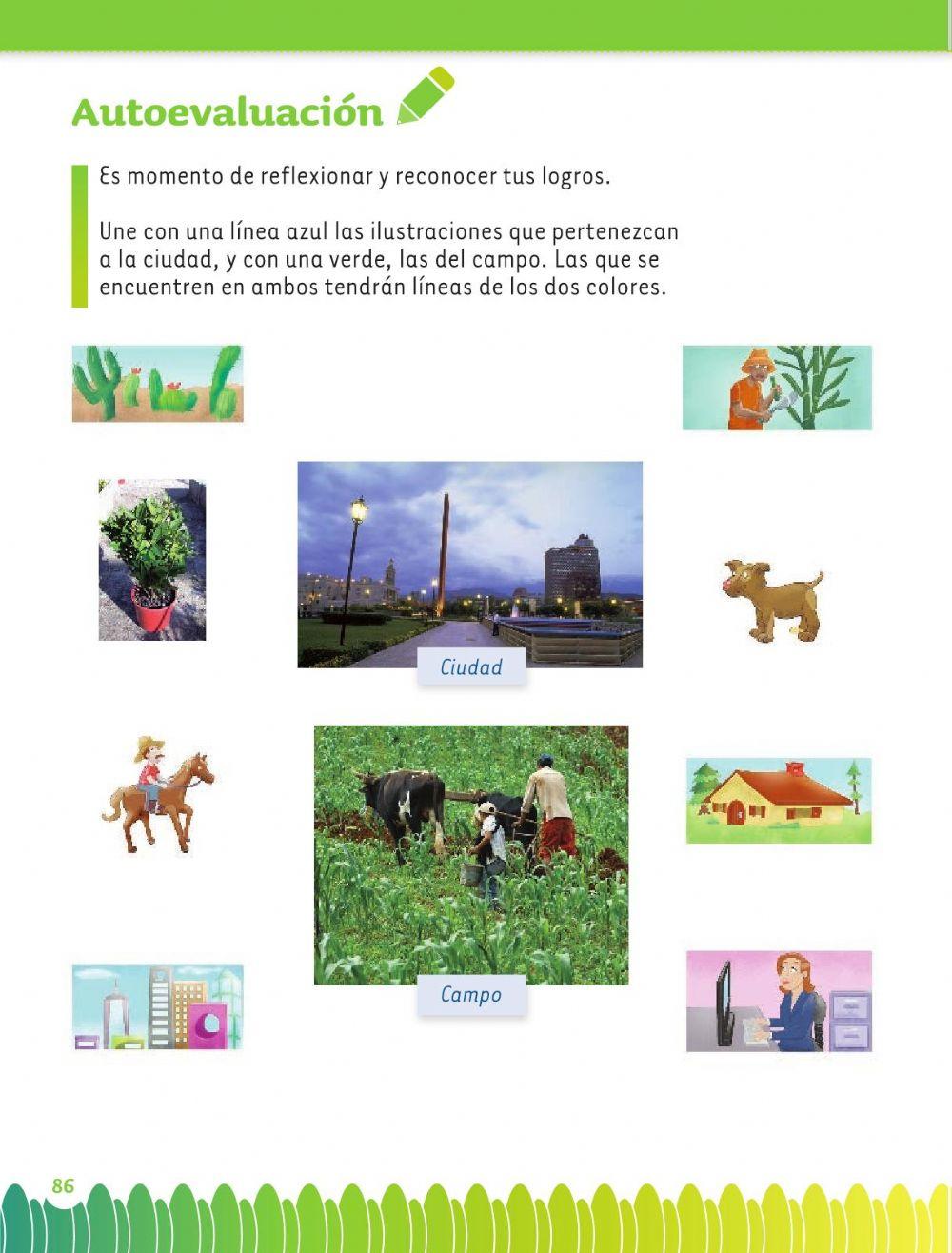 Identificar campo y ciudad Identificar campo y ciudad