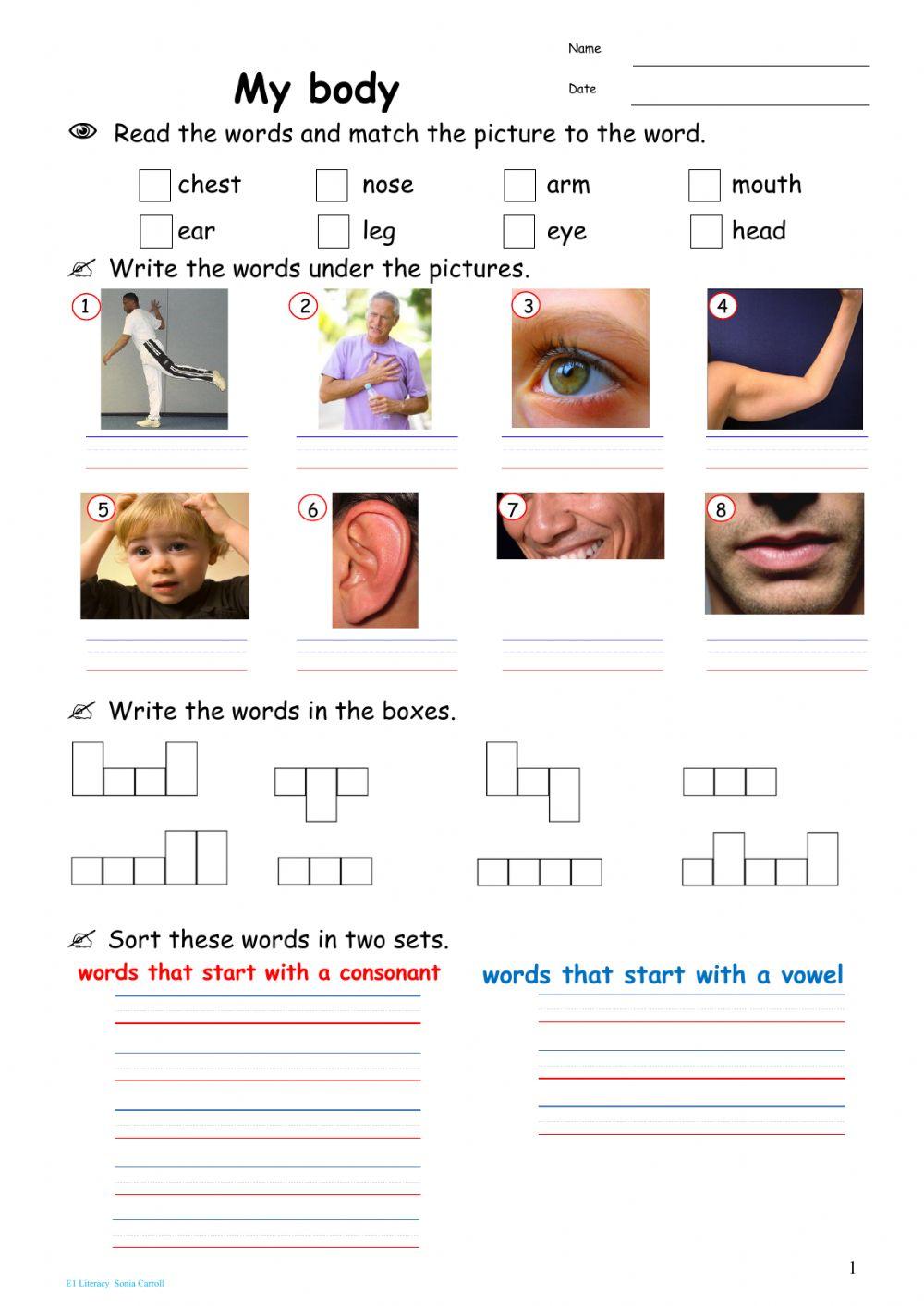 Parts of the body online pdf worksheet | Live Worksheets