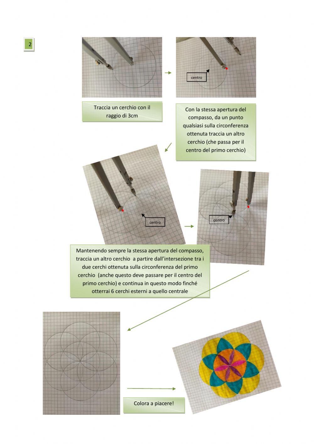 Fiori con il compasso