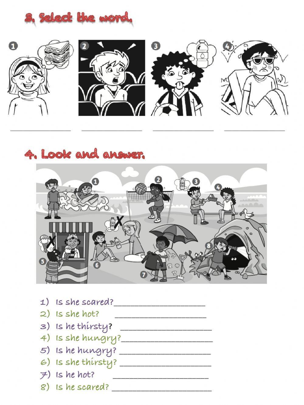 Reinforcement: vocabulary and grammar