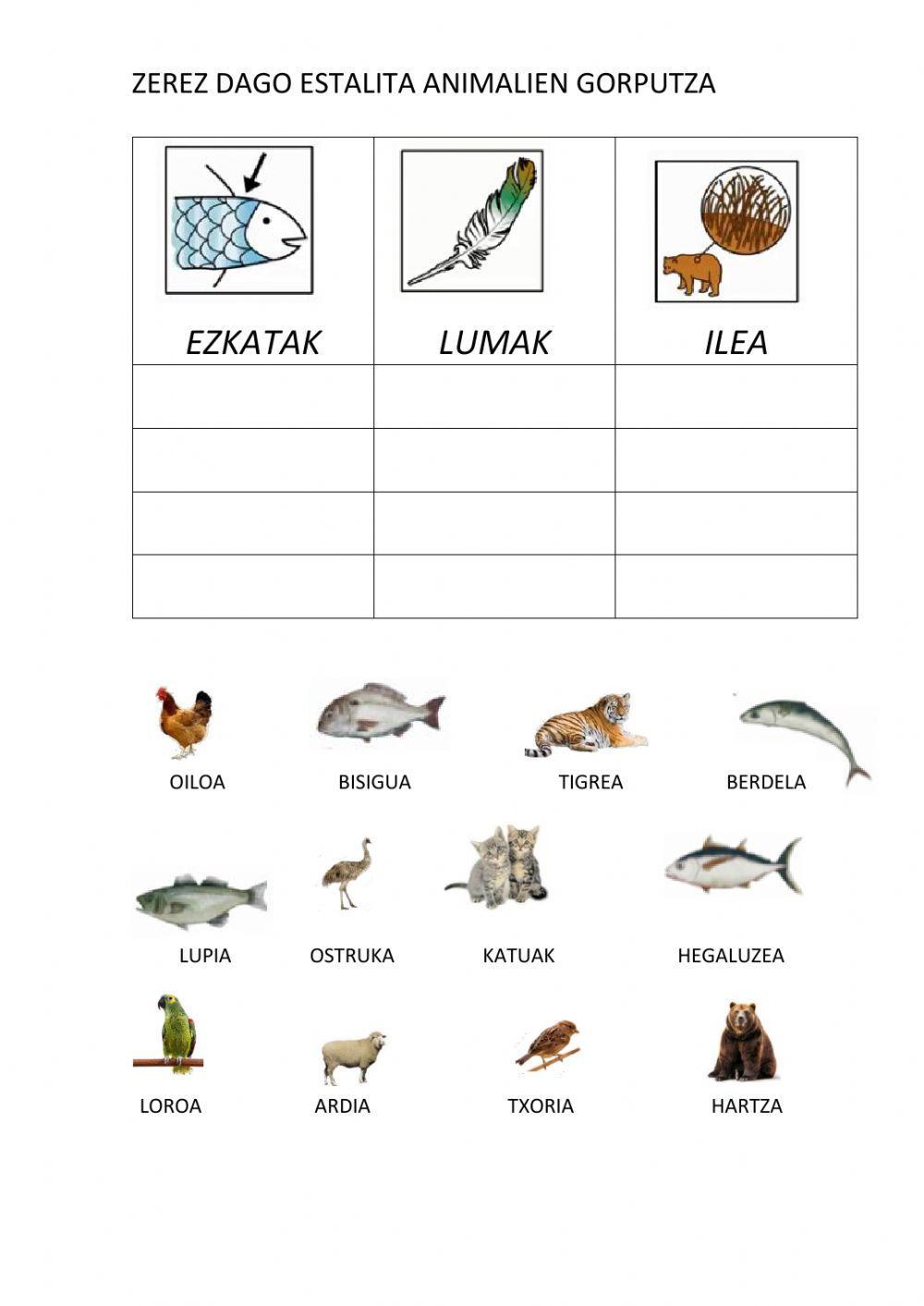 Animalien gorputz estalkia