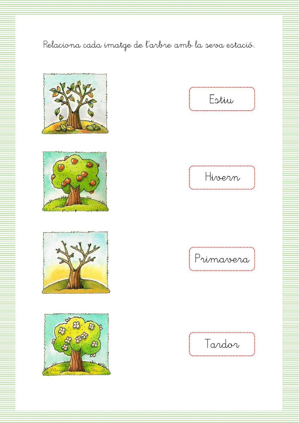 Les estacions i els arbres