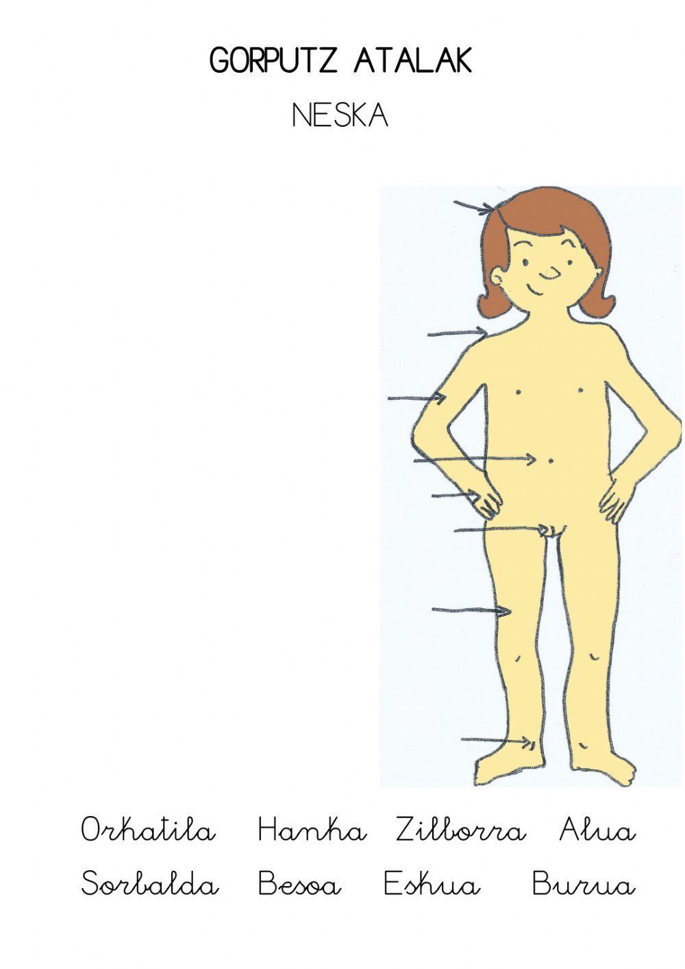 Gorputz atalak neska