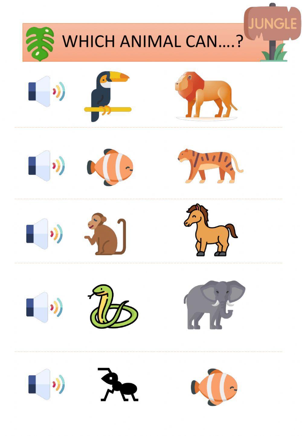 Which animal can...?