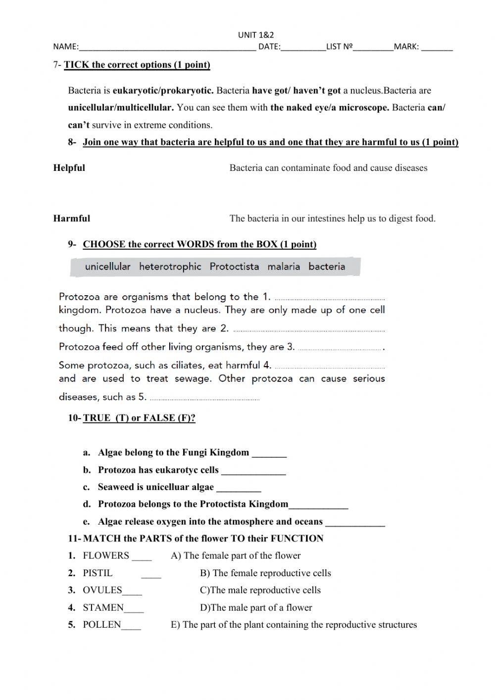 Recuperaciones natural 1trimestre