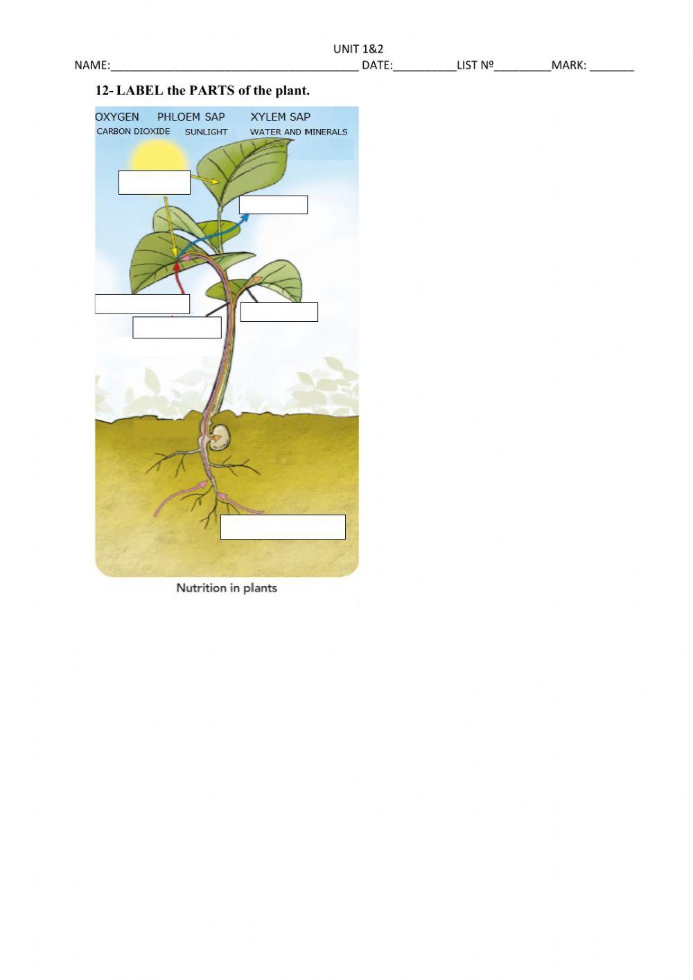 Recuperaciones natural 1trimestre