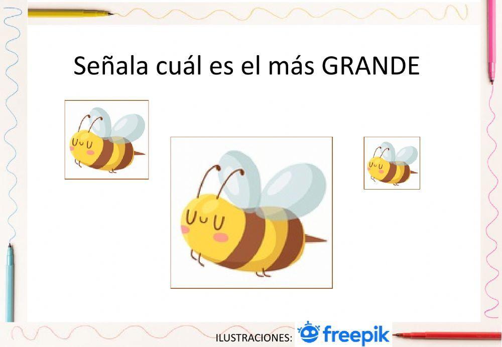 Concepto grande-pequeño