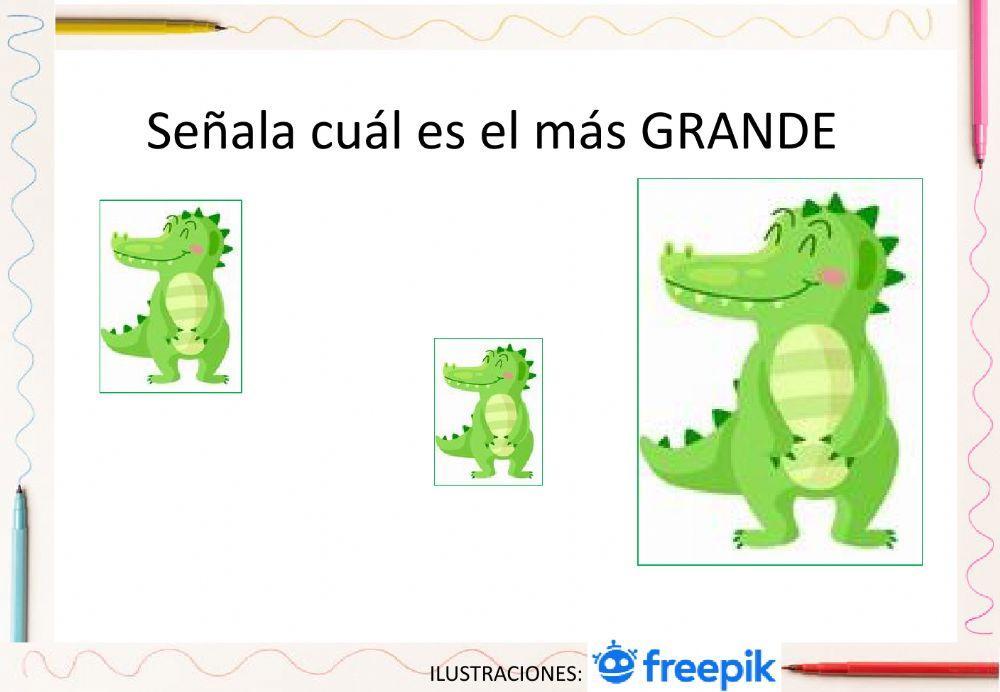 Concepto grande-pequeño