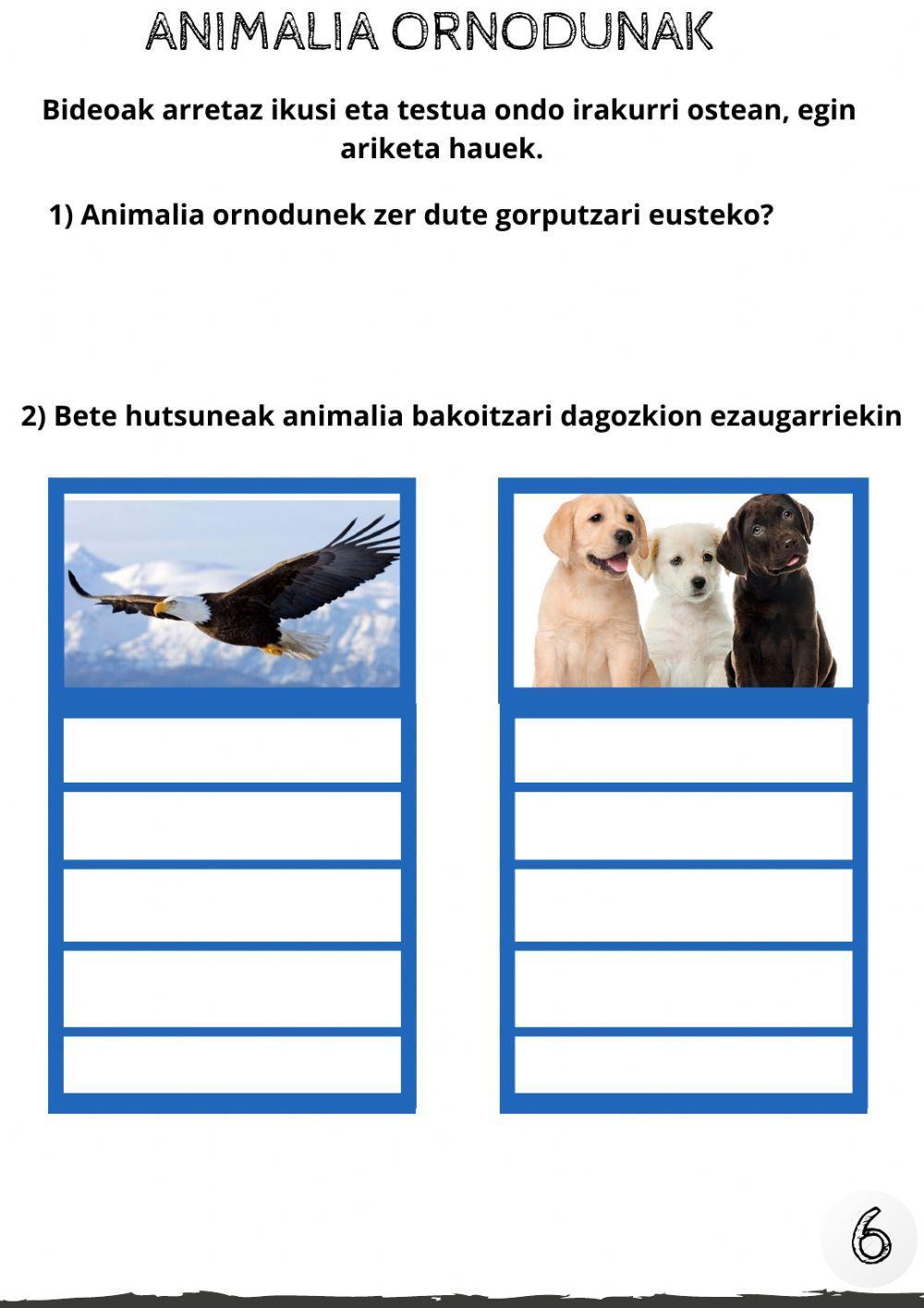 Animalien sailkapena 5