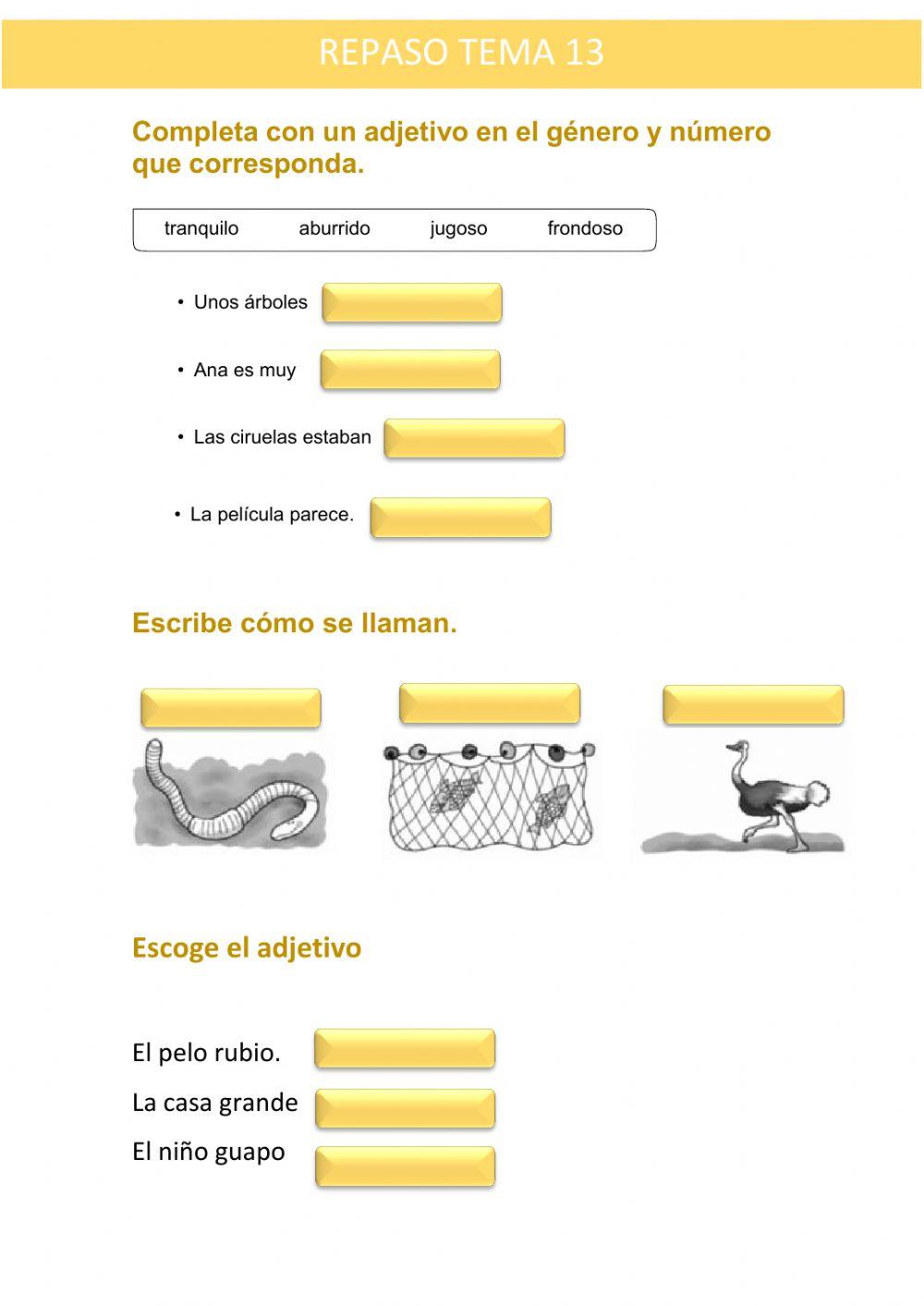 Repaso tema 13 lengua