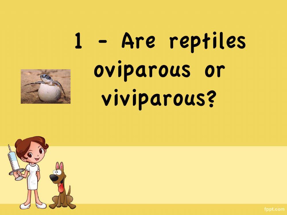 Reptiles Game Reptiles Game
