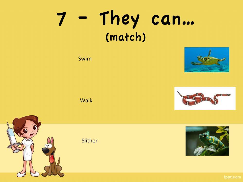 Reptiles Game Reptiles Game