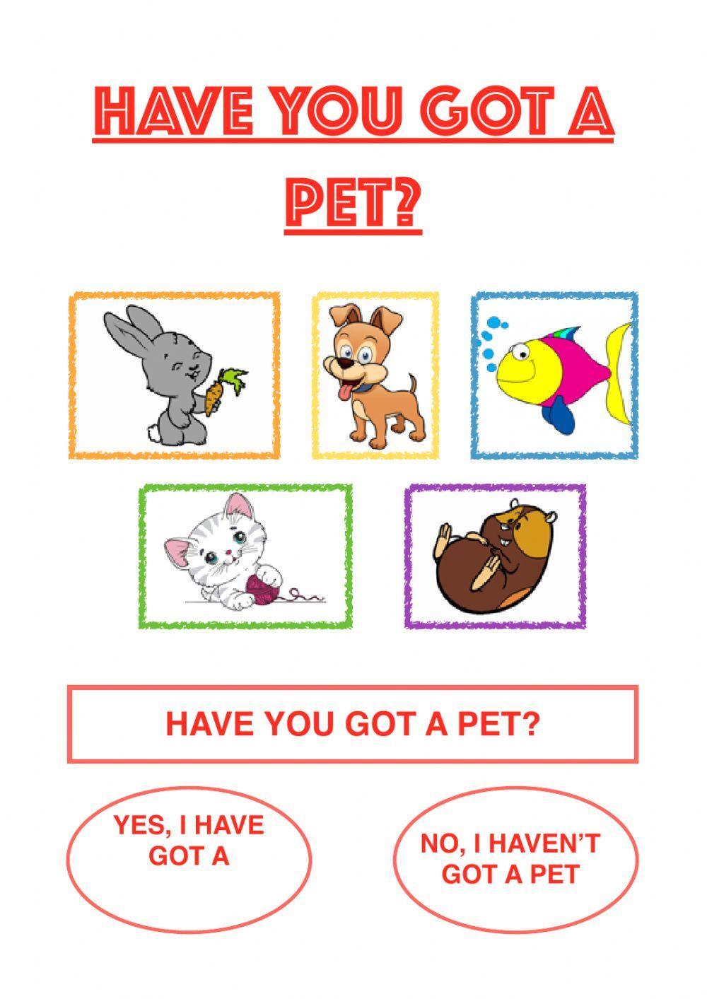 Have you got a pet?