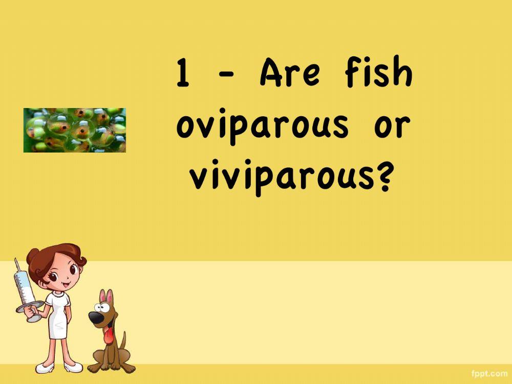 Fish Game Fish Game