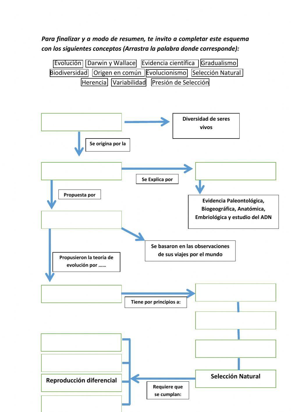 La  Selección  Natural