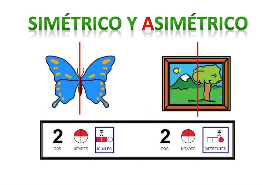 Simétrico y asimétrico