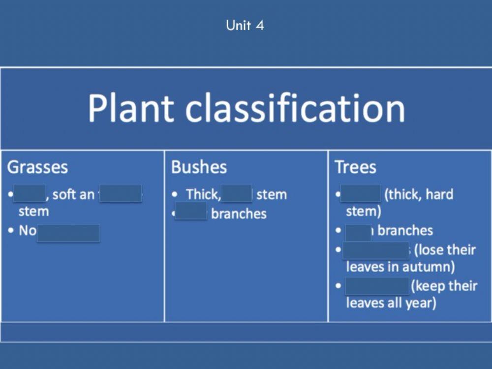 Unit 4 Plant Classification Complete Scheme