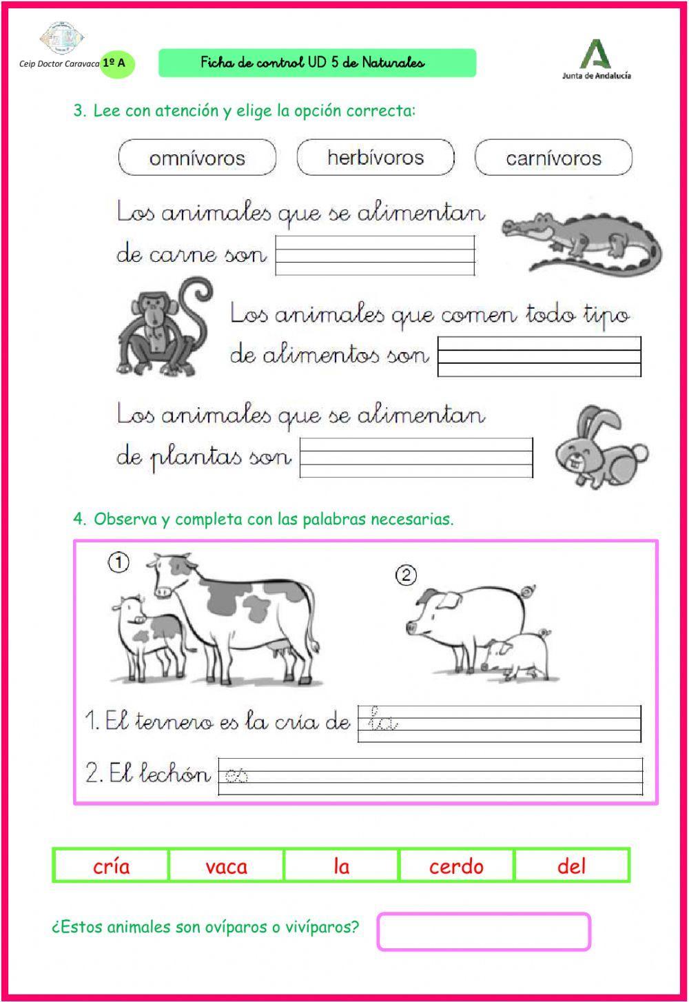 Animales En Espanol Worksheet Spanish Animals Vocabulary Wor Animales En Espanol Worksheet Spanish Animals Vocabulary Wor