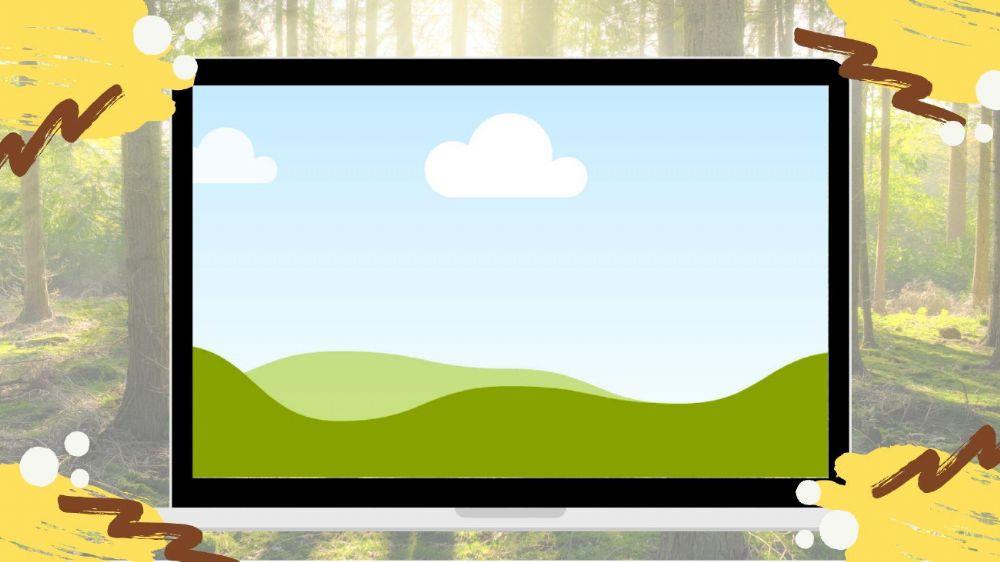 La Pinea busca casa (II)