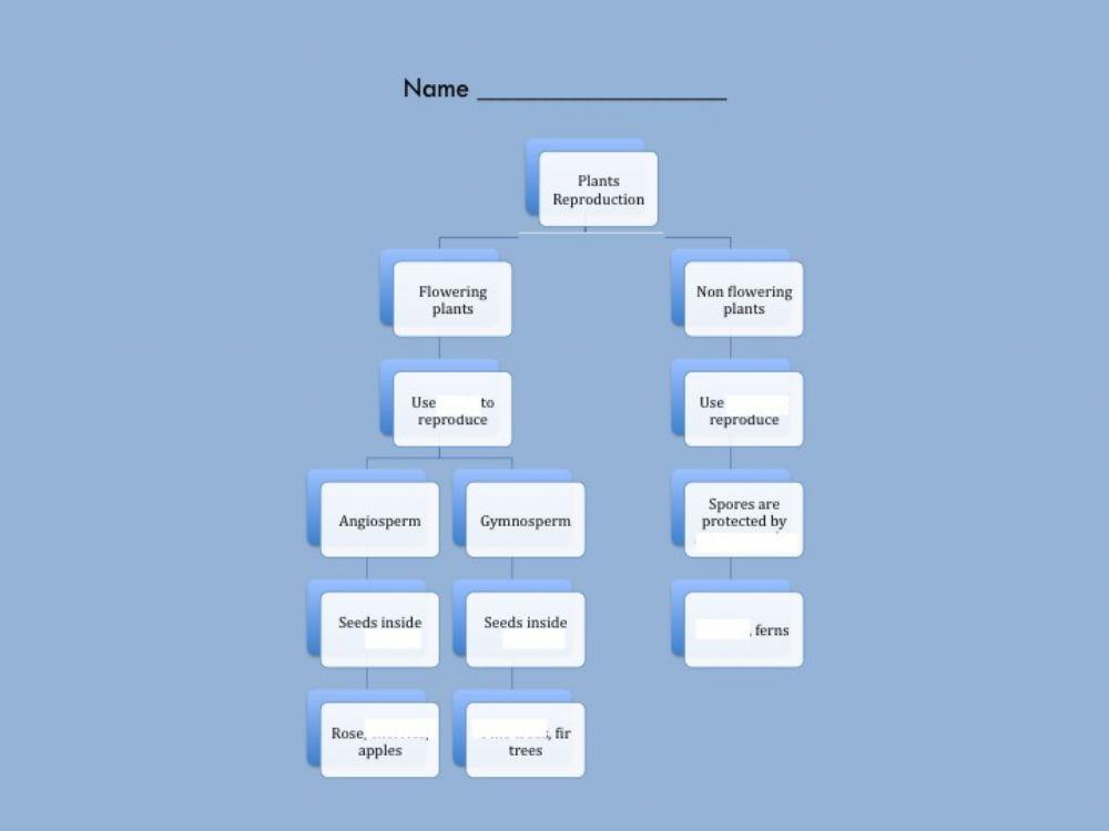Unit 4 Flowering-Non flowering Plants Complete Scheme
