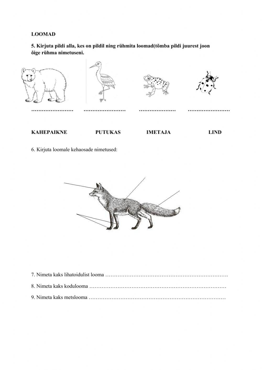 Loodusõpetus, aasta kordamine