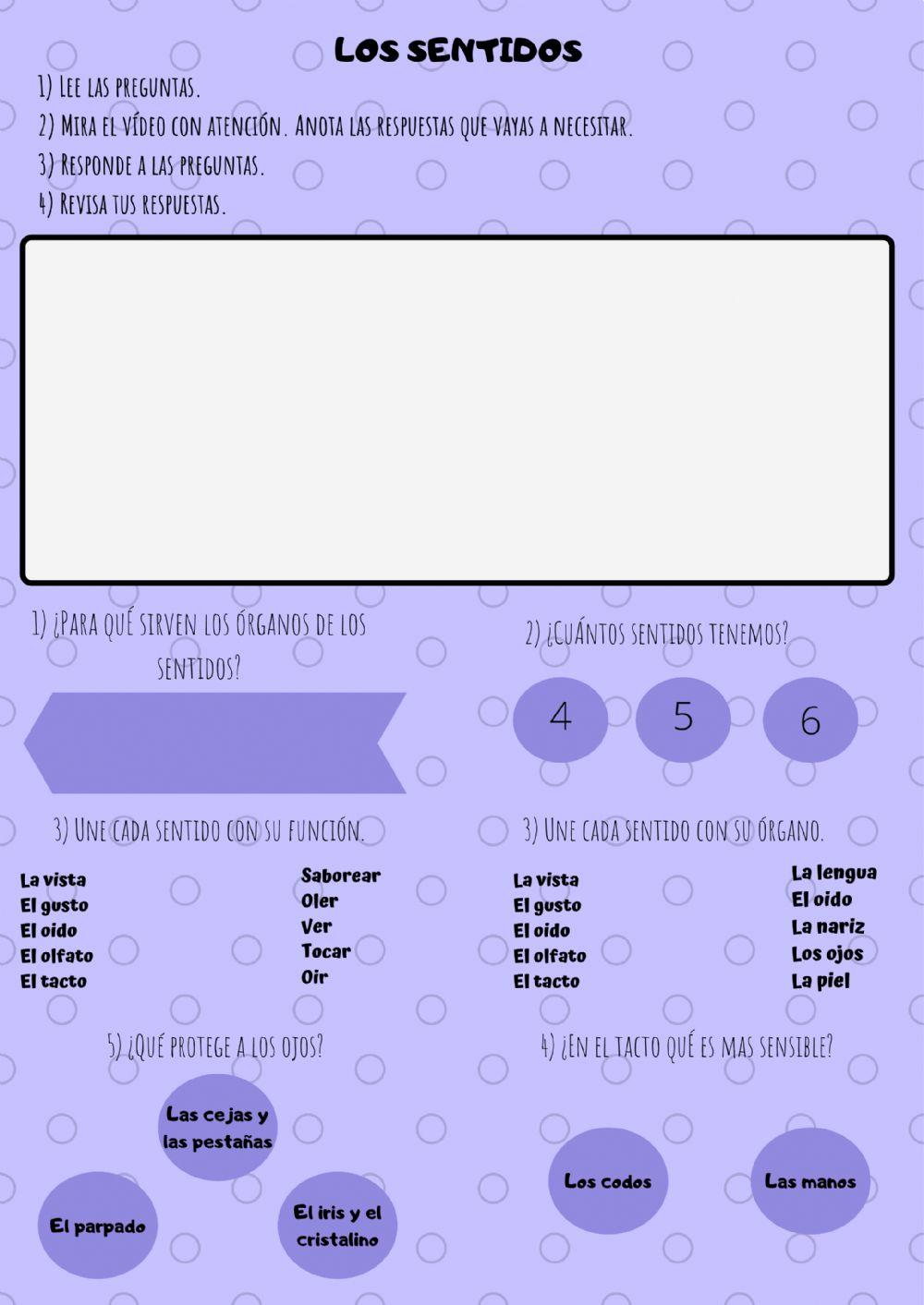 Los sentidos