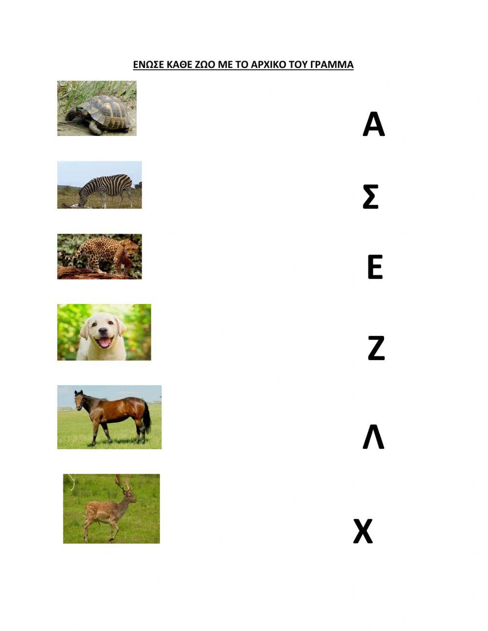 Τα ζωα και τα αρχικα τους γραμματα