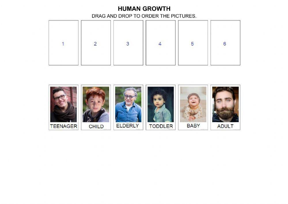 Homan growth