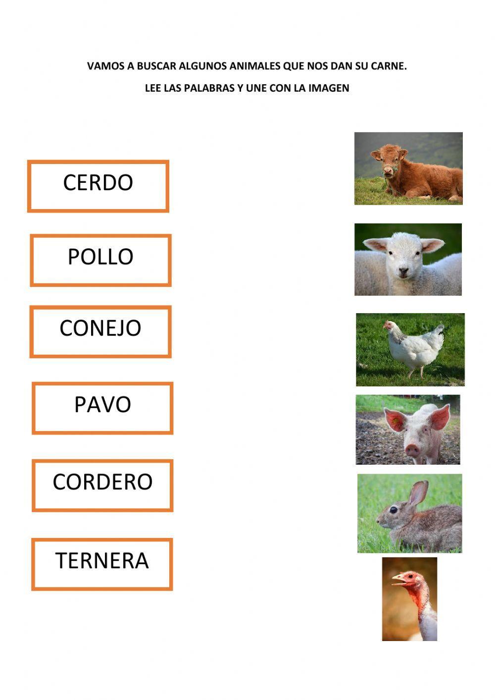 Carnes rojas y blancas