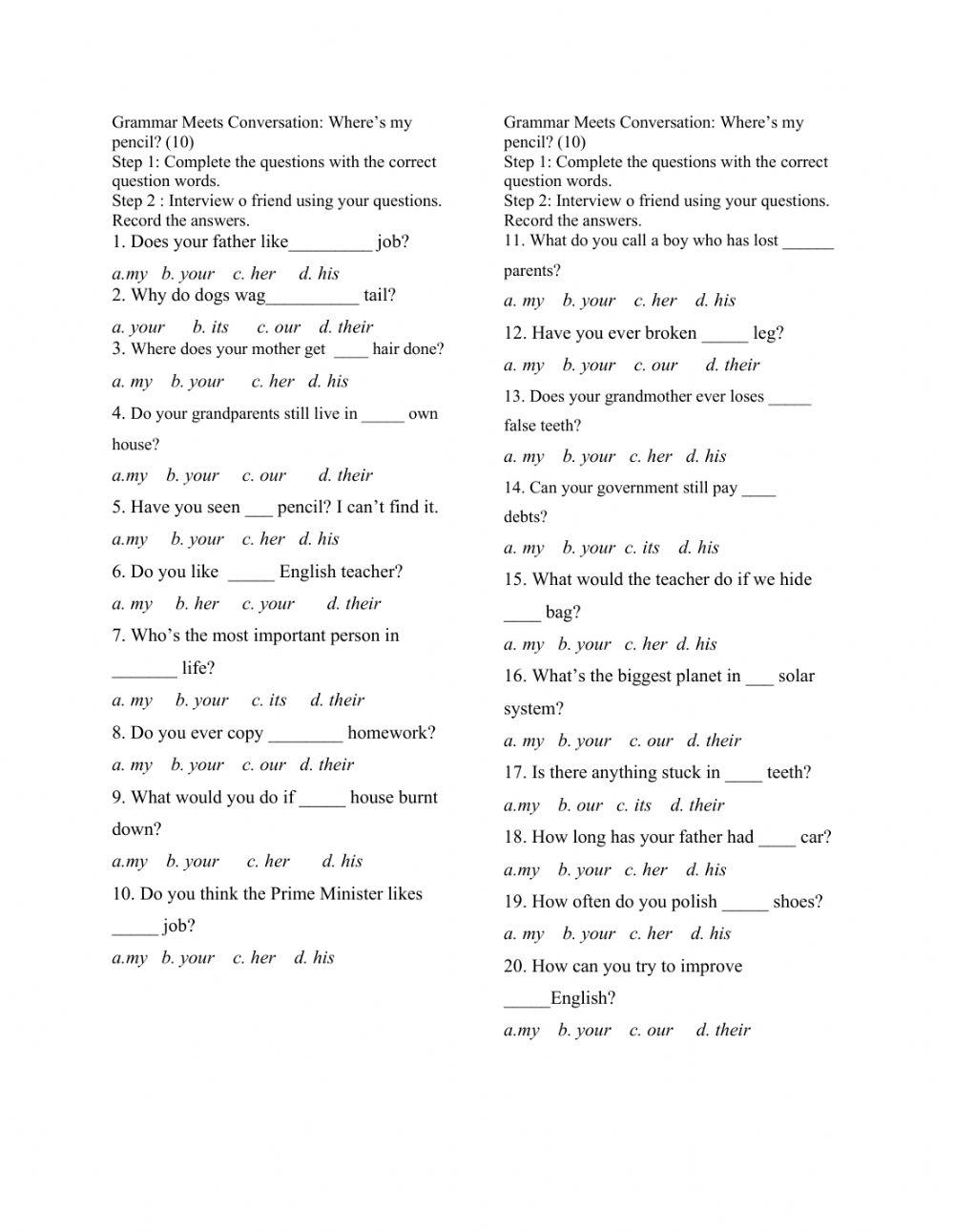 Possessive Adjectives