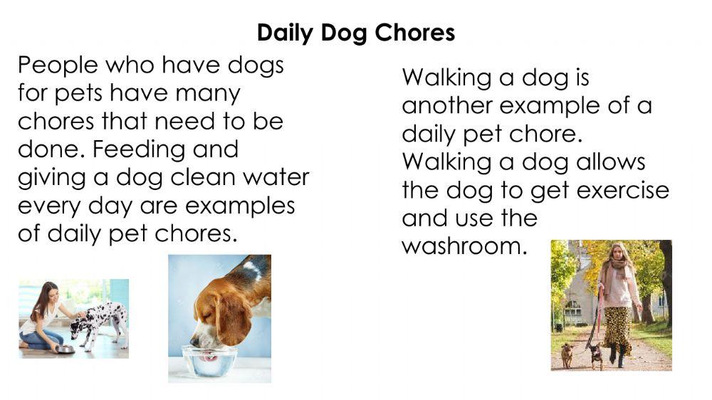 L7 Chores - Pets