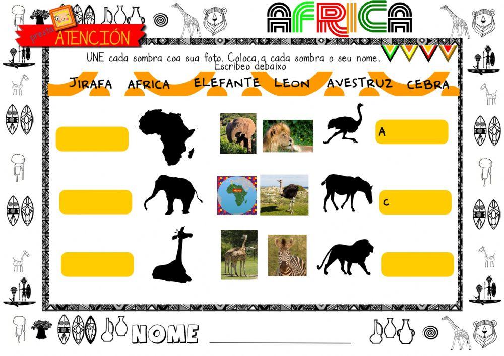 Animais africans