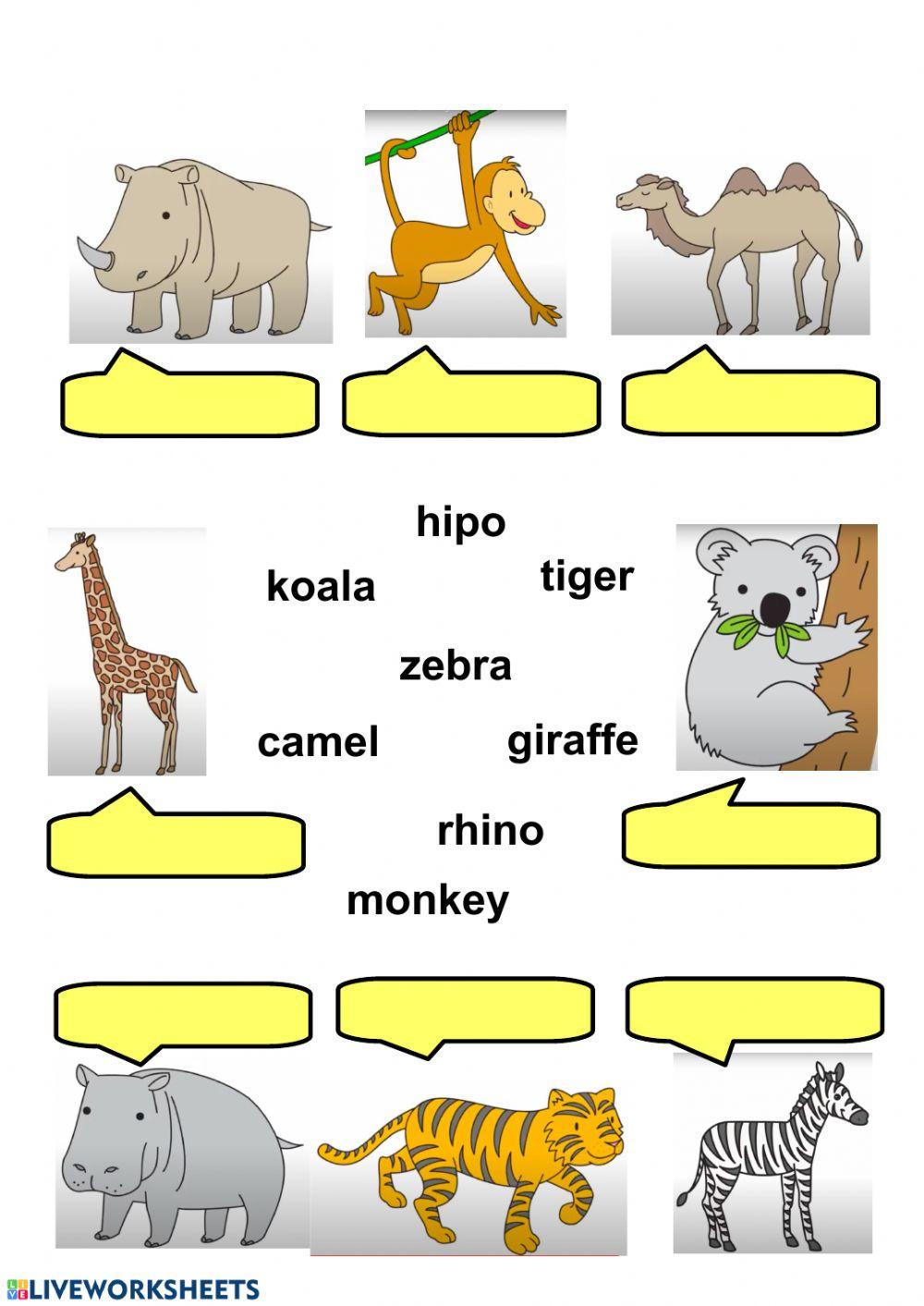 1st - Nouns - animals