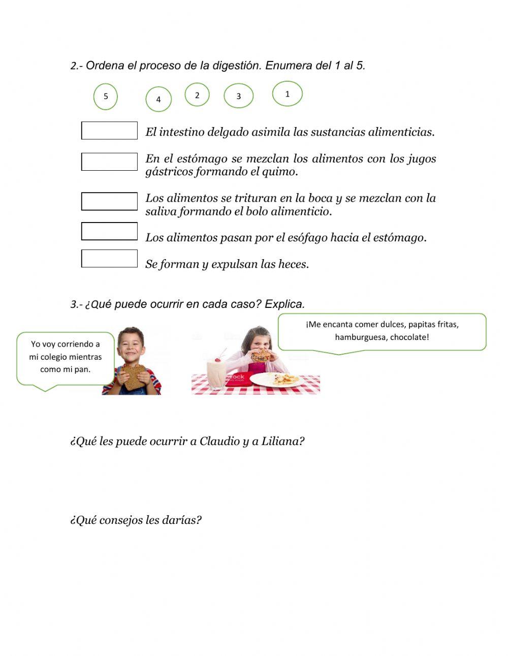 ¿Cuál es el camino de los alimentos?