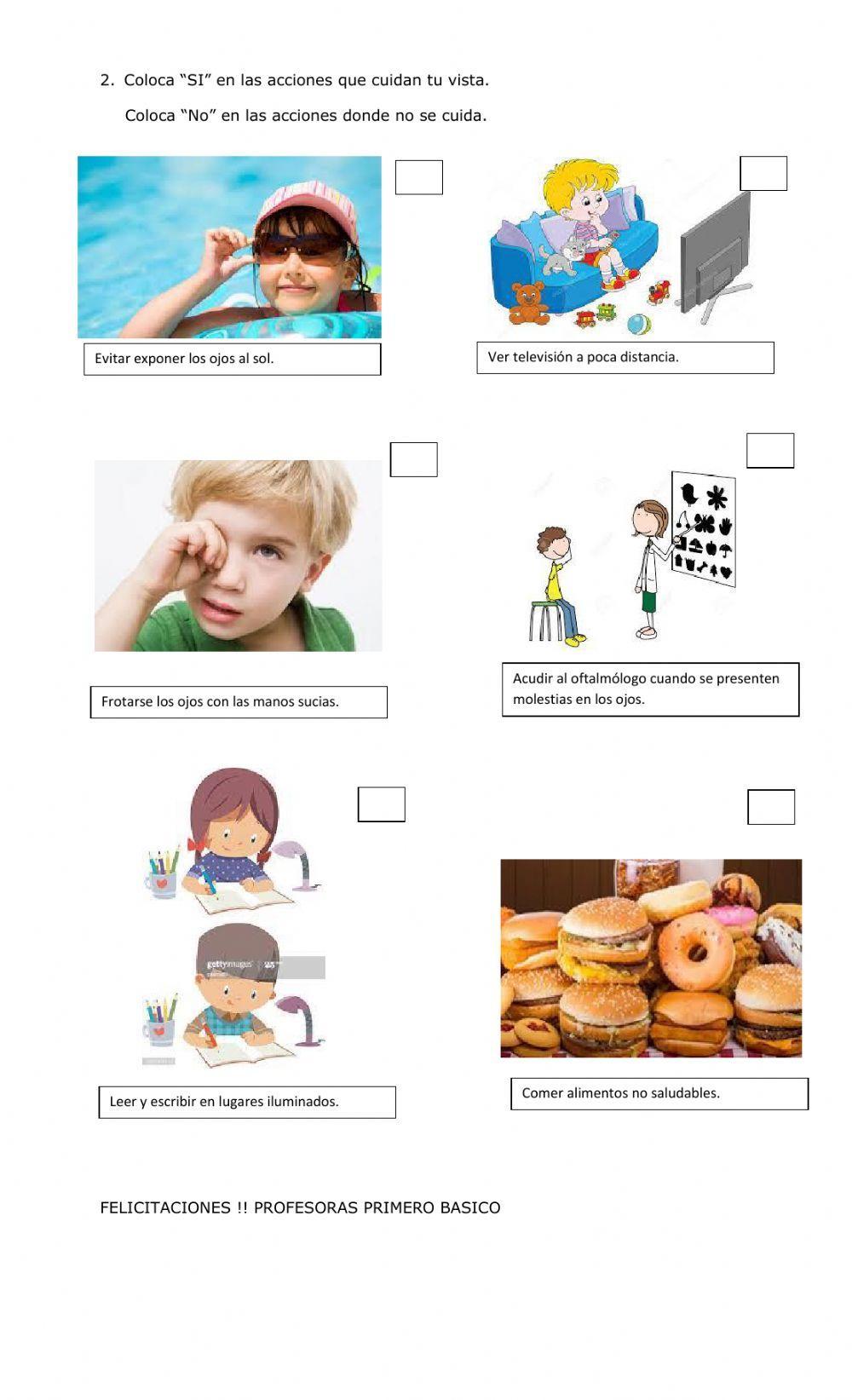 Guia Sentido de la vista. Primero básico.