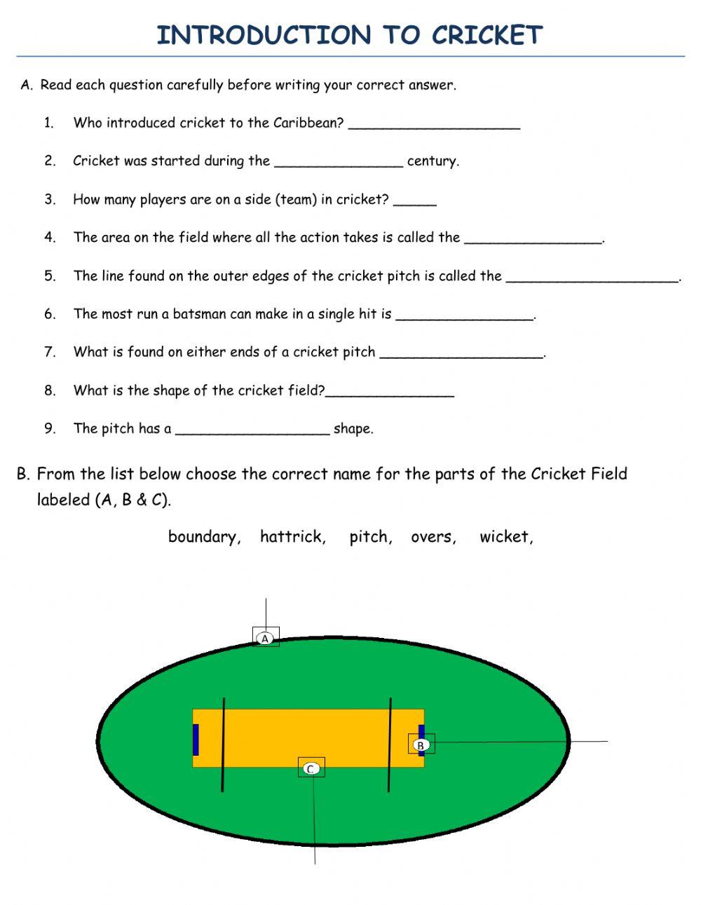 Introduction to cricket