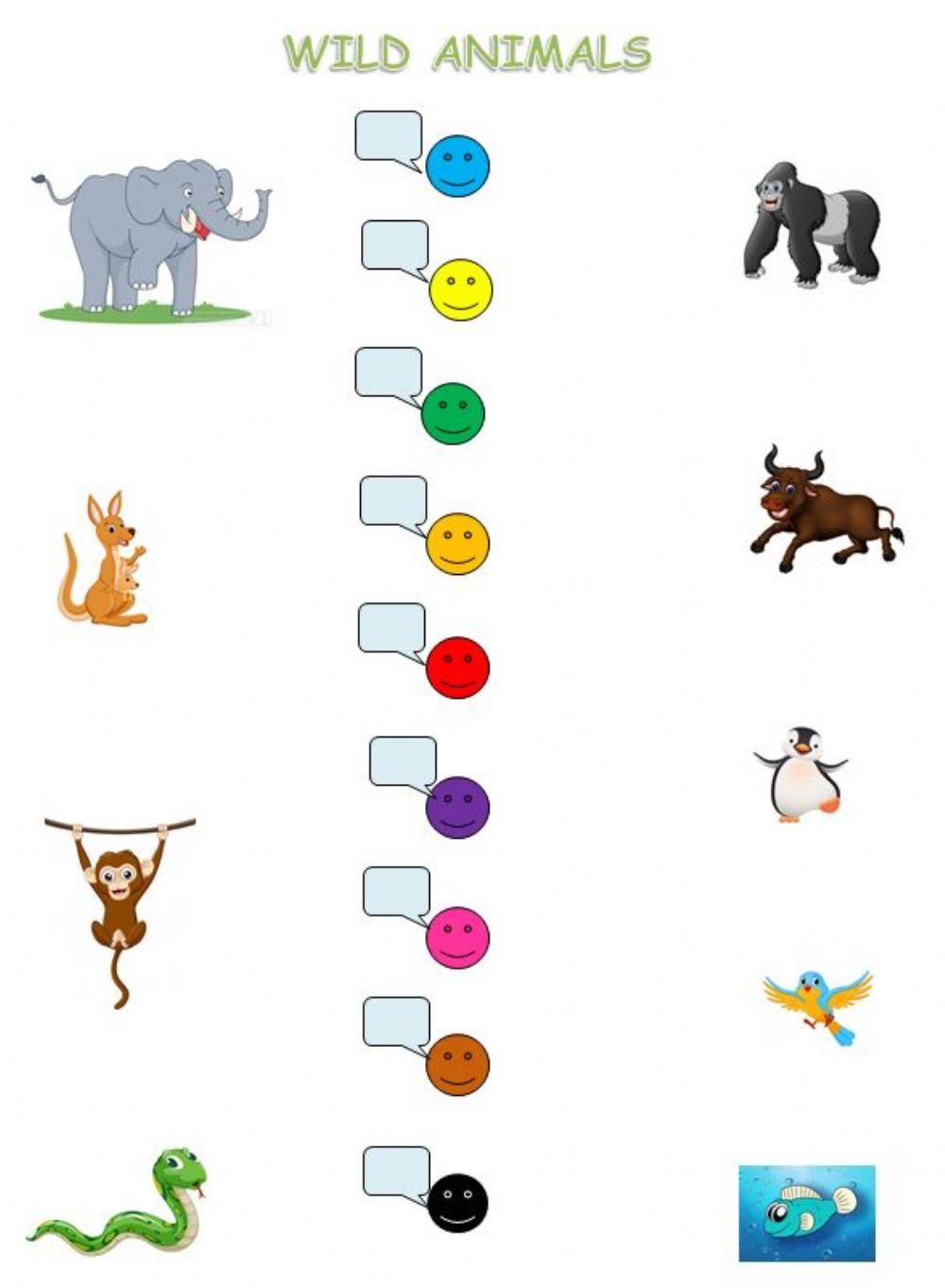 INFANTIL:  WILD ANIMALS 5 AÑOS