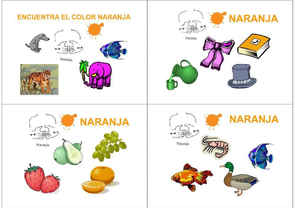 Encuentra el objeto del Color