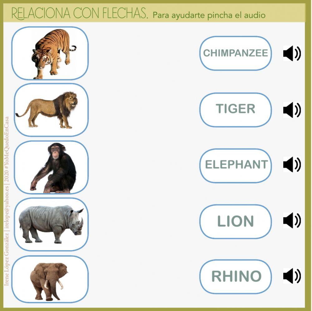 Actividades Animales-Salvajes 3