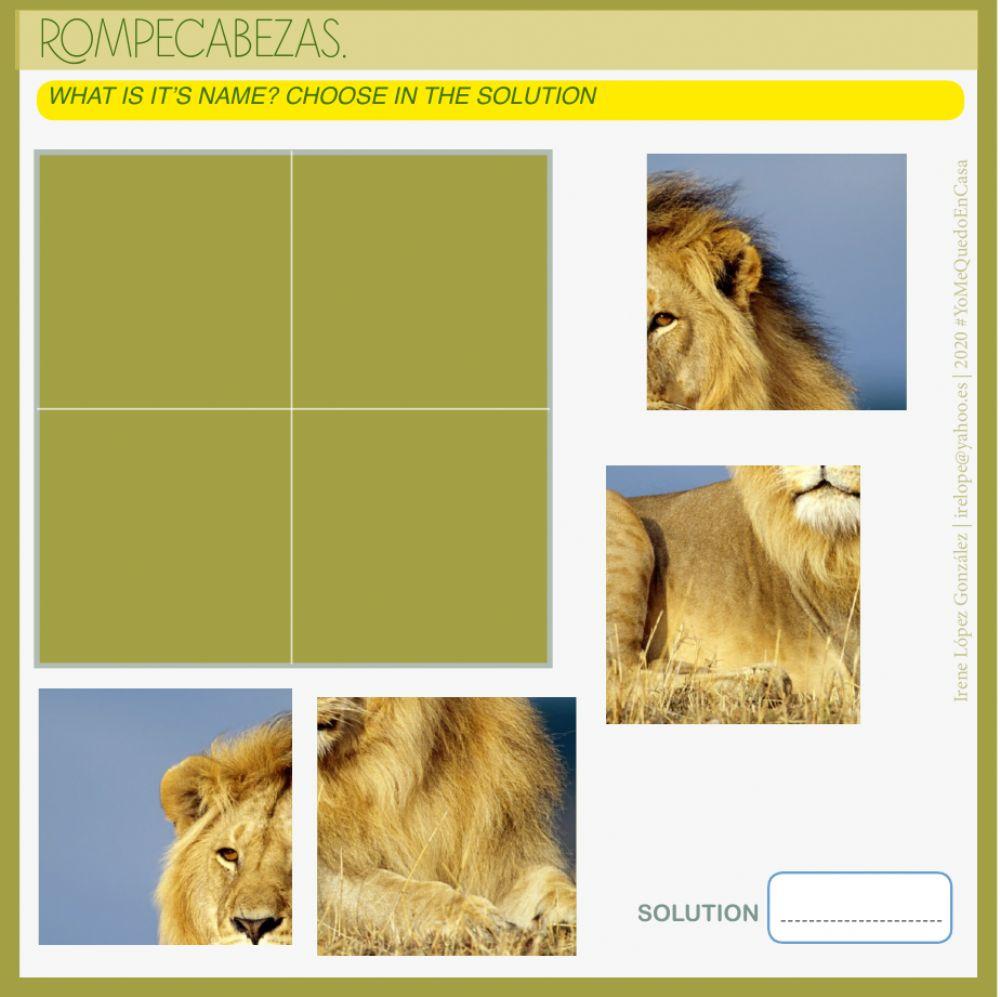 Actividades Animales-Salvajes 3