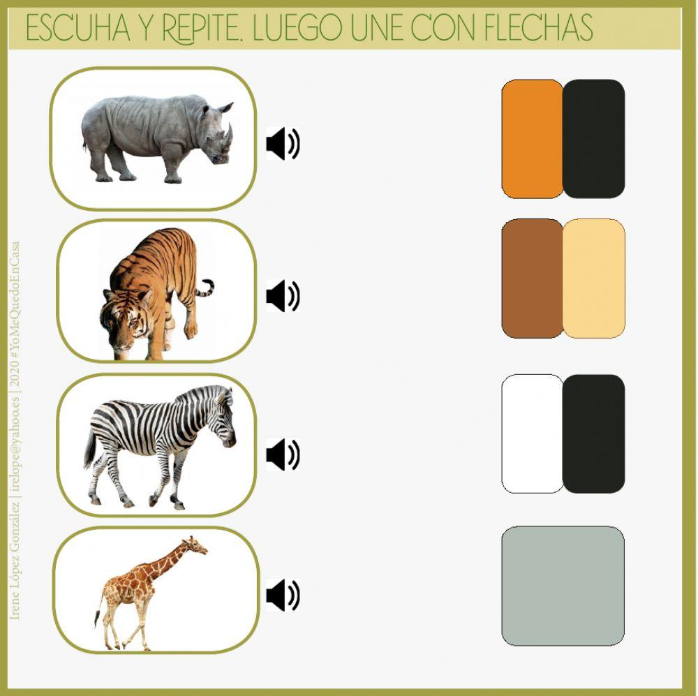 Actividades Animales-Salvajes 3