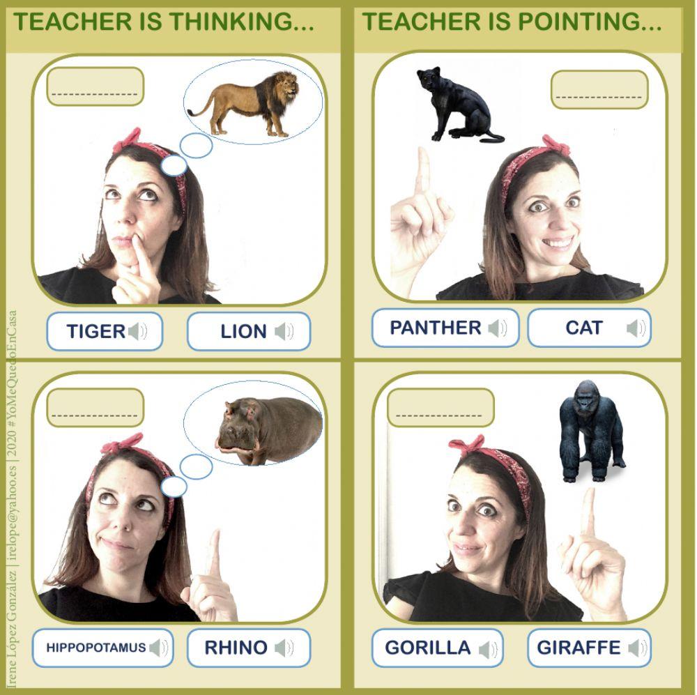 Actividades Animales-Salvajes 3