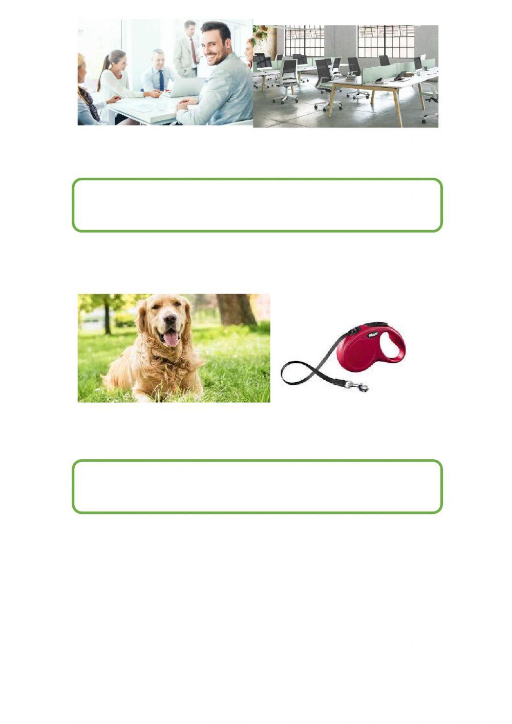 Escribe frases con las imagenes