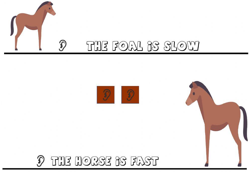 Fast and slow