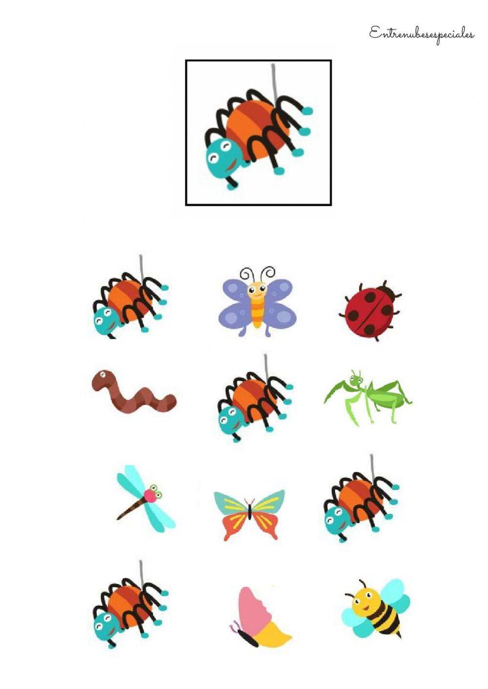 Señala igual al modelo