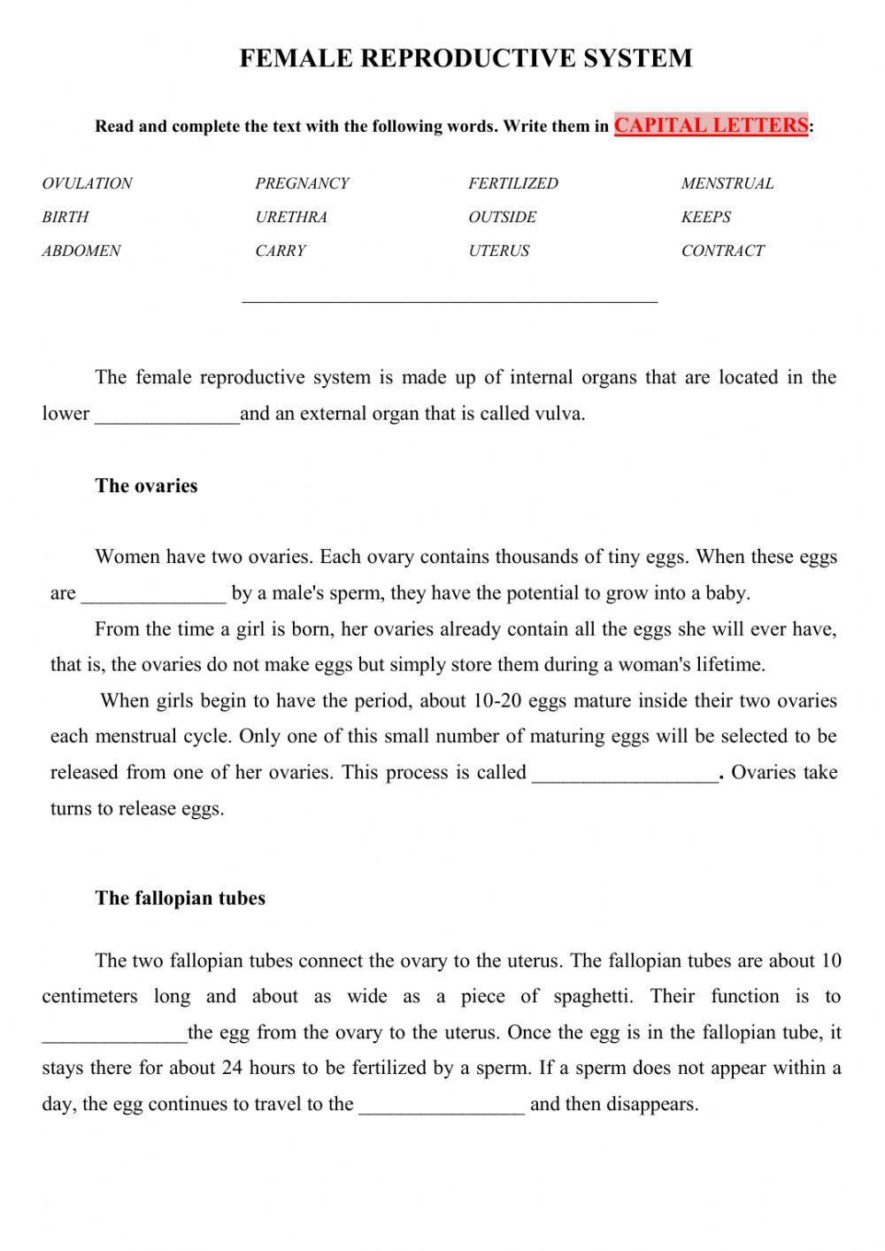 Female reproductive system Female reproductive system